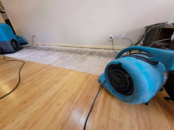 Professional Water Damage Repair technician working in Willcox, AZ